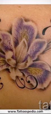 Írisz -tetoválás fényképes példája egy írisz -tetoválás jelentését bemutató cikkhez 11