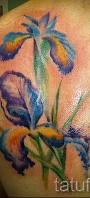 Írisz -tetoválás fényképes példája egy írisz -tetoválás jelentését bemutató cikkhez 10