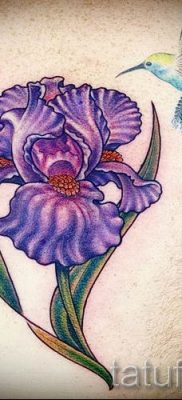 Írisz -tetoválás fényképes példája az írisz -tetoválás jelentését bemutató cikkhez 9