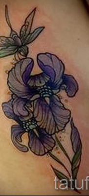 Írisz -tetoválás fényképes példája egy írisz -tetoválás jelentését bemutató cikkhez 8