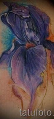 Írisz -tetoválás fényképes példája egy írisz -tetoválás jelentését bemutató cikkhez 6
