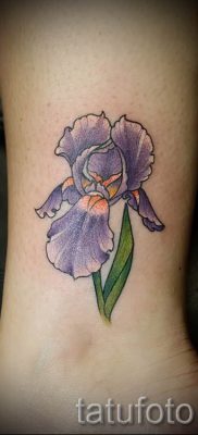 Írisz -tetoválás fényképes példája egy írisz -tetoválás jelentését bemutató cikkhez 5
