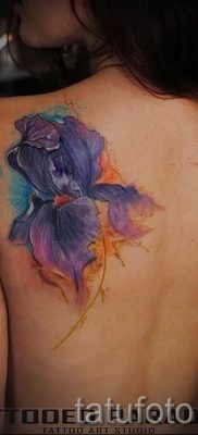 Írisz -tetoválás fényképes példája egy írisz -tetoválás jelentését bemutató cikkhez 3