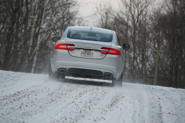 za časťou snehové prostredie stromy vyčerpávajú rozmanitosť