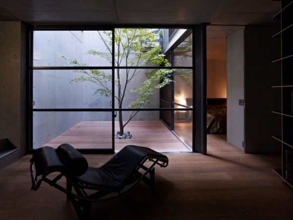 Nádvorie Sky House Nádvorie Sky House strom