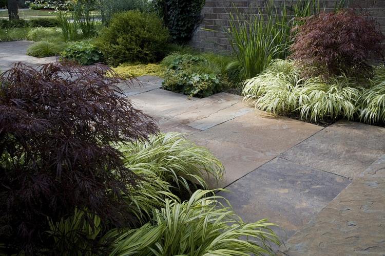 japonsko-trpasličí-trstinový-hakonechloa-macra-aureola Japonský druh javoru