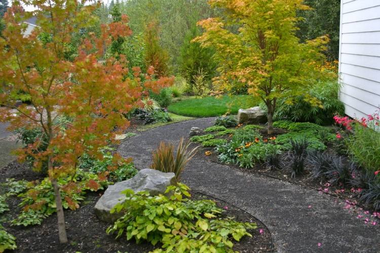 Hogyoku-japonské-javorové-stromy-záhradné-okrasné-trávnaté-kríky