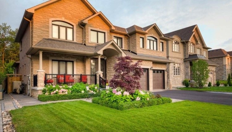 japonský-javorový-záhradný-predný-dvor-dizajn-trávnik-živé ploty