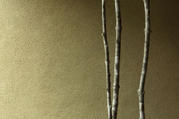 úhor posteľný dom úzky múr strom krytý japonsko