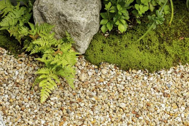 sadenie kamienkov mimo mach