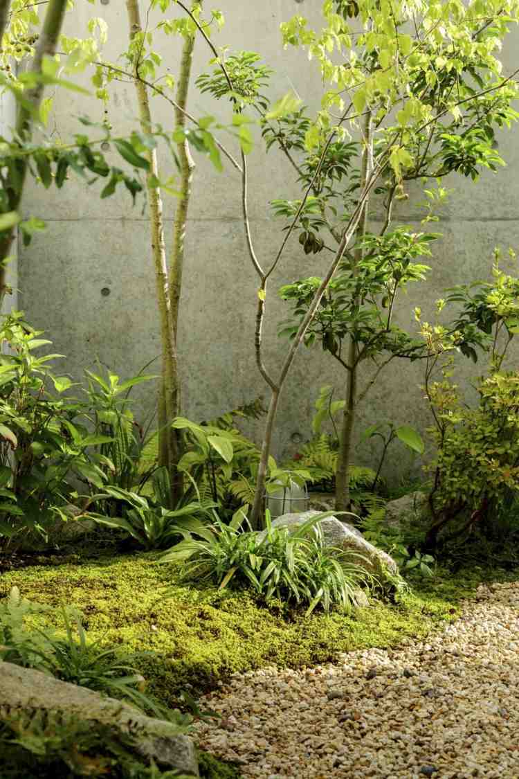 záhradné stromy rastliny machové kamienky