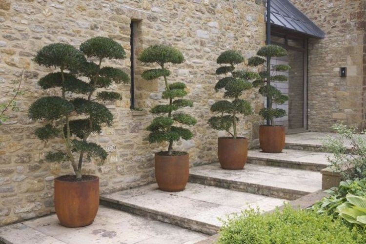 Japonský záhradný dizajn-nápady-oblak-strih-krov-kamennej-steny-schody