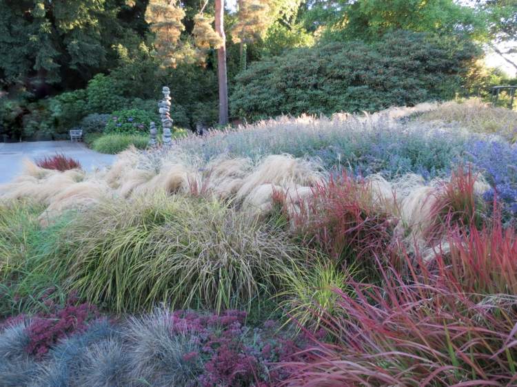 japonsko-krvilacna-zahrada-kopec-idea-okrasna tráva-kombinacia-kvet-pastelovo-modra