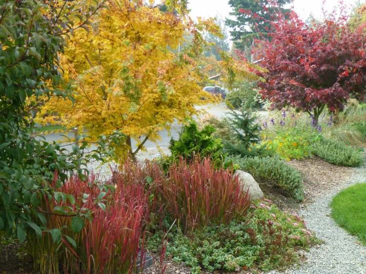 japonsko-krvilacna zahrada-jesenne farby-olistenie-zlto-cervena-okrasna-tráva-park-design