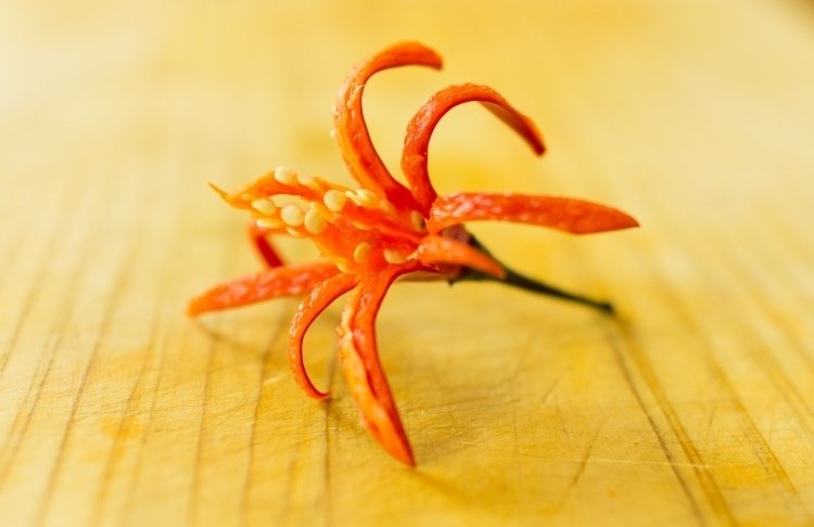 Ozdobte studené taniere - chilli kvet Ozdobte studené taniere-paradajkovo-chilli-kvet-červeno-krásne-ozdobte