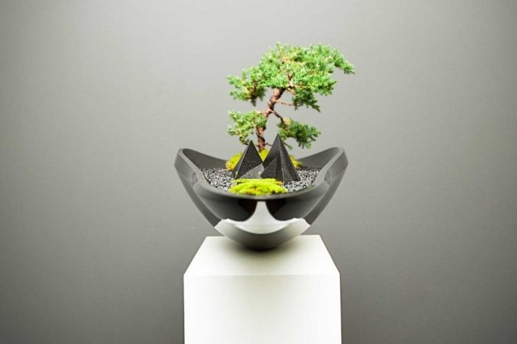 moderný bonsai hrniec so zaujímavým tvarom čierny bonsai hrniec v modernom dizajne