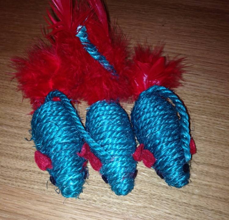 lano-korisť-myš-pierko