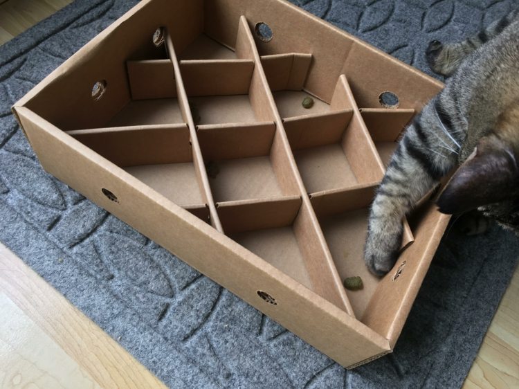 box-bag-cat-drotár