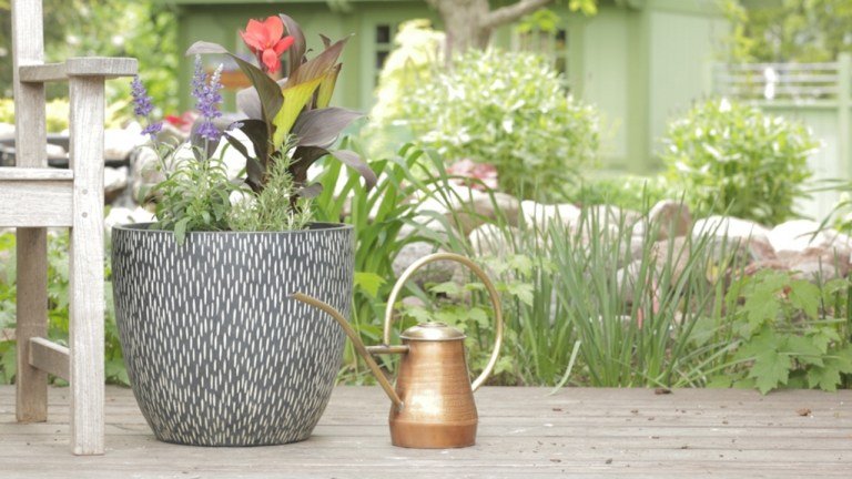 Navrhovanie záhradnej vane Tipy na starostlivosť Zalievanie pôdy