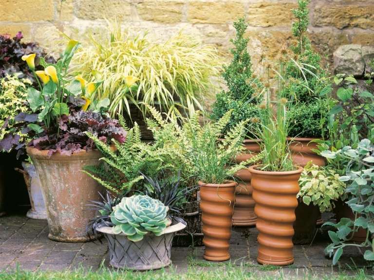 Navrhovanie záhradnej vane Okrasné trvalky prinášajú rozmanitosť