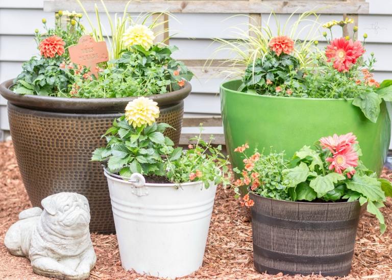 Navrhnite záhradu s vaňou Kvety kombinujú dekoratívne nápady