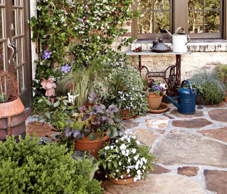 Výsadba do záhradnej vane Tipy Kombinácia trvaliek s okrasnými trávami