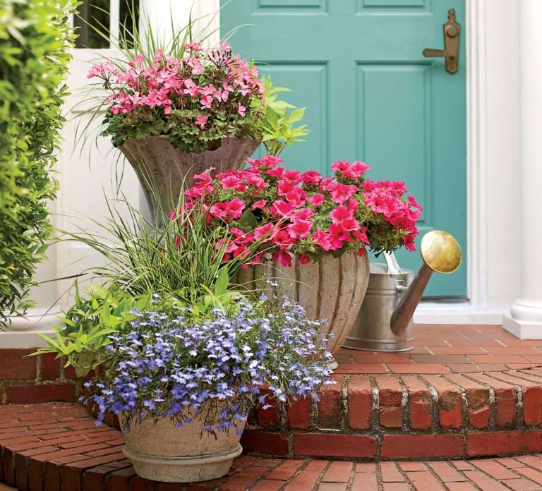 Hrnková záhrada výsadba nápady okrasné trávy ročné kvety striekance farieb