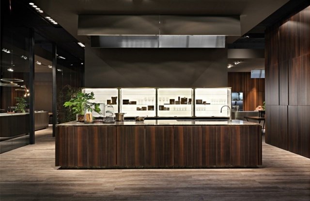 Drevené kuchynské fronty nástenné police z tmavého zrna Sklo Predné steny z tmavého zrna Sklenené vstavané osvetlenie Rossana