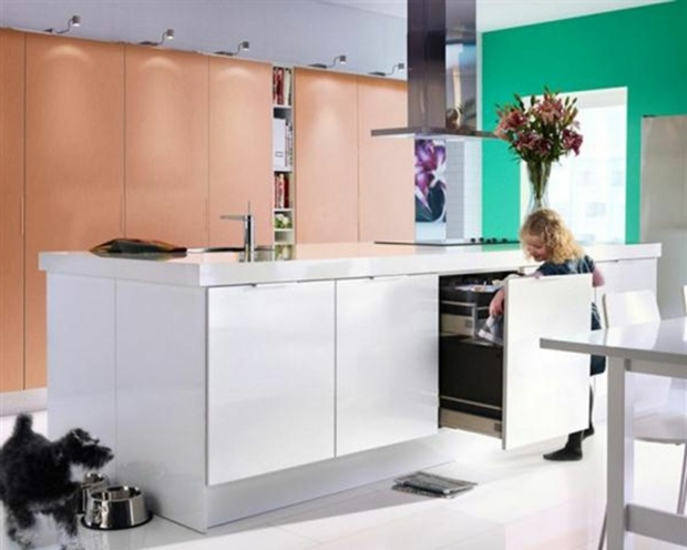 Dieťa-domáce zviera-kuchyňa-prerobiť-drez