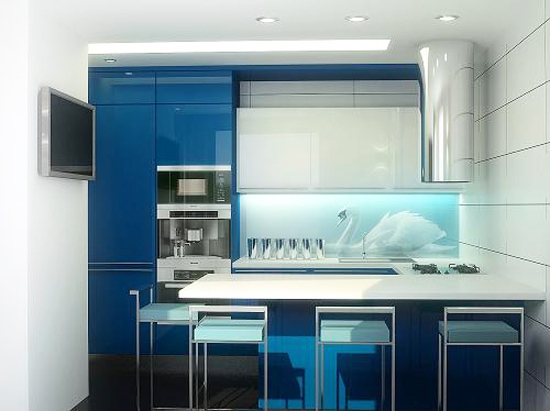 Kuchynská zadná stena labuť foto akrylové sklo Kuchyňa-zadná stena-labuť-akrylové sklo-foto