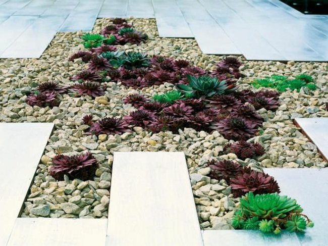 Kamienky v záhrade pokryté zeminou