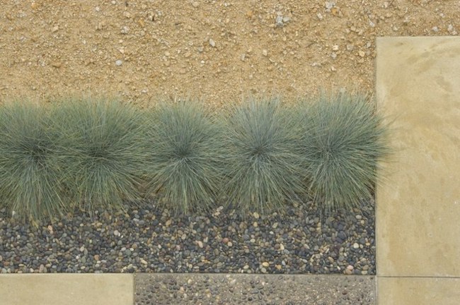 Tvarovanie riečnych kameňov okruhliaky vždyzelené rastliny