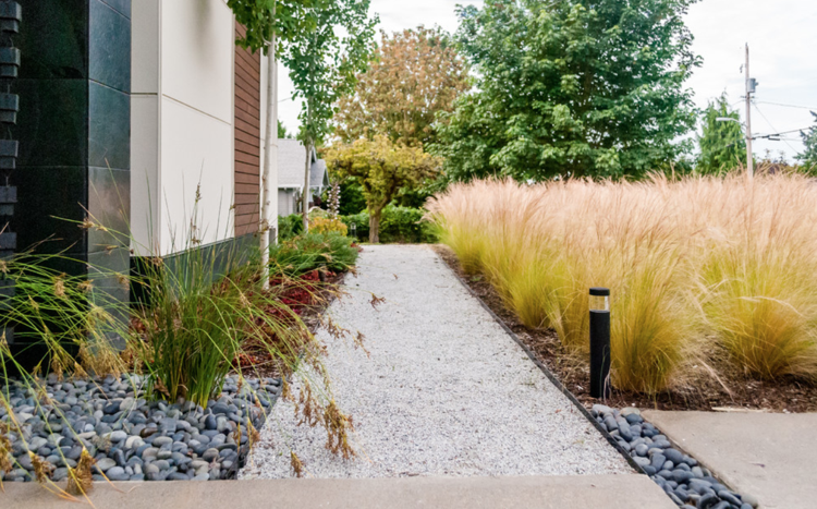 Nápady na štrkovú záhradu s trávami Mexická perová tráva