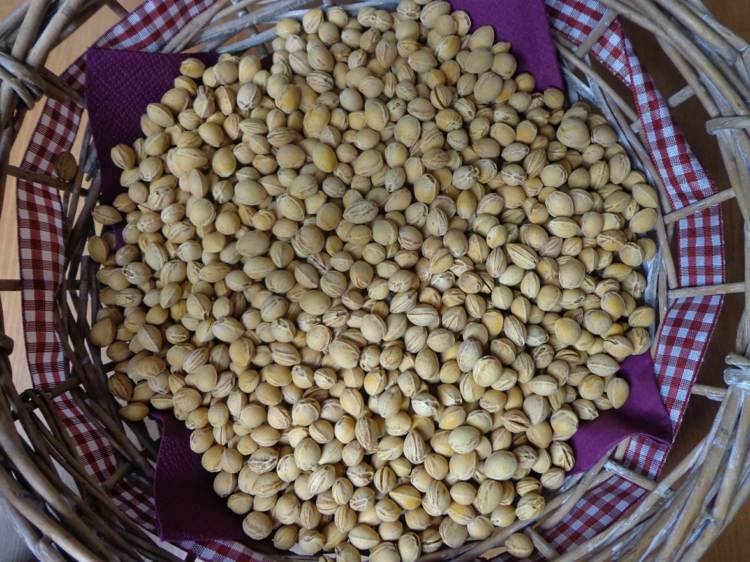 Vyrobte si vankúše z čerešňových kôstok prútený kôš-tkanina-károvaná-obrúska-purpurovo-čerešňové kamene-sušené