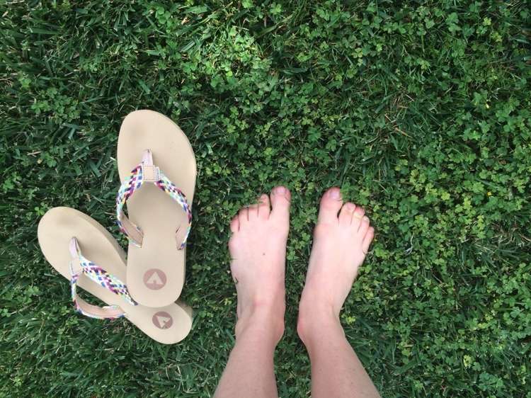 Krátko koste ďatelinu na trávniku, aby ste odstránili staré kvety