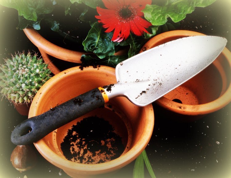 Rastliny s kvetináčmi a záhradným náradím