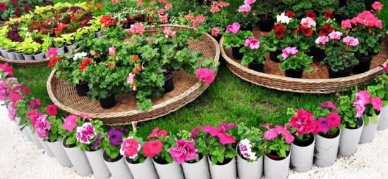 Usporiadajte rast malého záhradného záhonu