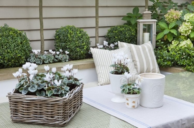 krásne dekorácie v bielej farbe v malej ošarpanej záhrade malá záhradná konštrukcia-ošarpaná-dekorácia-prútené-biele-cyklámenové