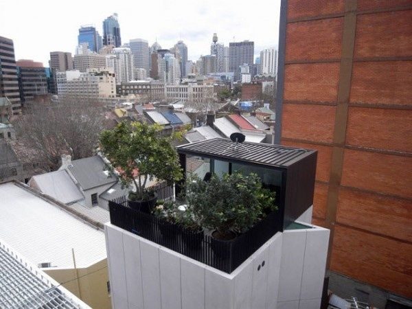 Strešná terasa Sidney je plná rastlín