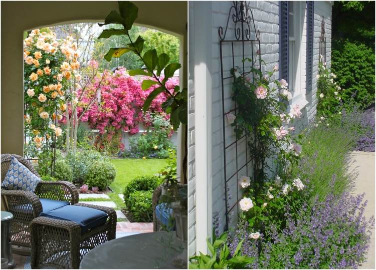 Horolezecké ruže-rastliny-železo-broskyňa-farebné kvety