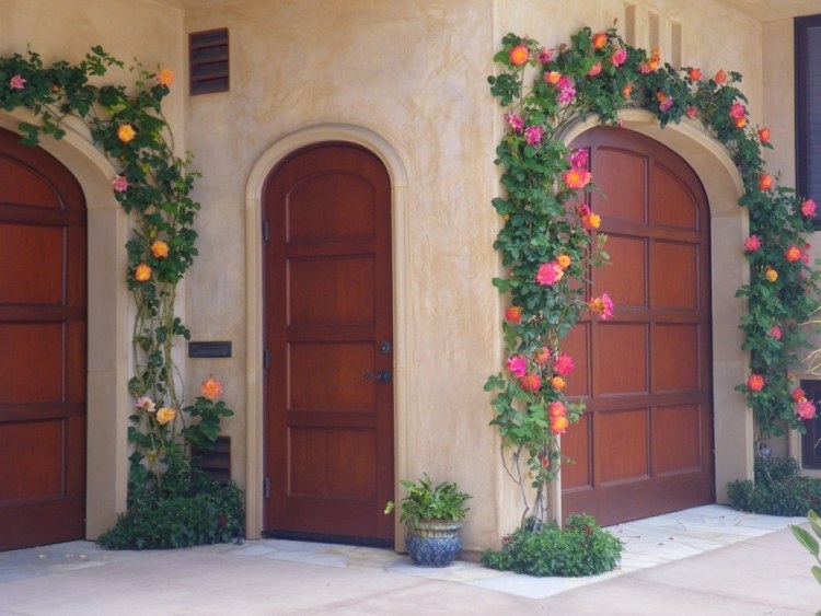 popínavé ruže-rastliny-josef-kabát-drevené-dvere