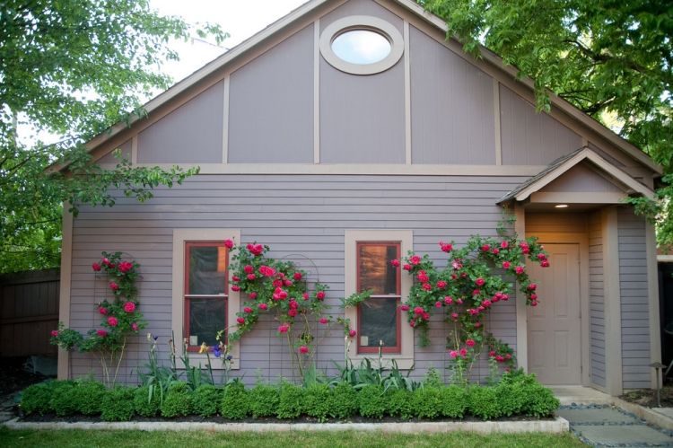 Horolezecké ruže-rastliny-rezanie-predný dvor pomôcky na lezenie