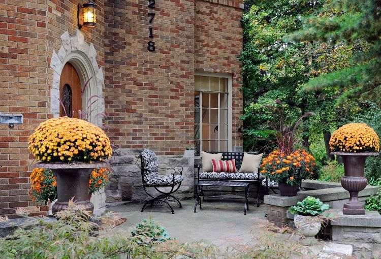 obklad na stenu rustikálne klasické kvety záhradný slinok tehlové šmykľavky