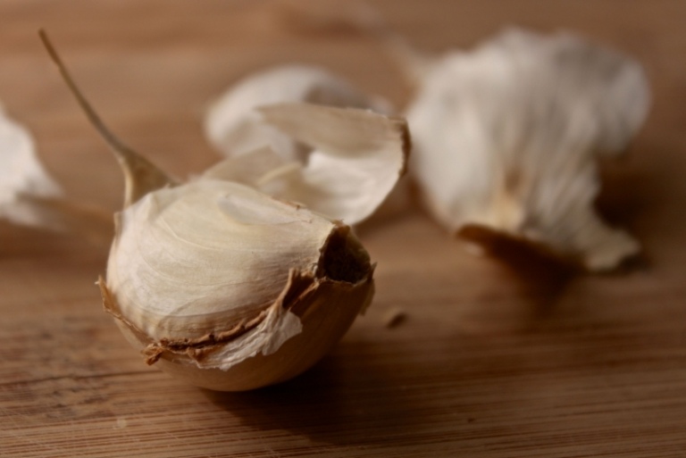 Pestovanie cesnaku - pestovanie ľahko ošetriteľnej rastliny sami Cesnak-pestovanie-nenáročná-starostlivosť-rastlina-prst-cesnak-suché