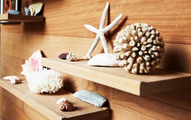 Dekorácia na nástennú policu-námorné predmety mušle z ježka