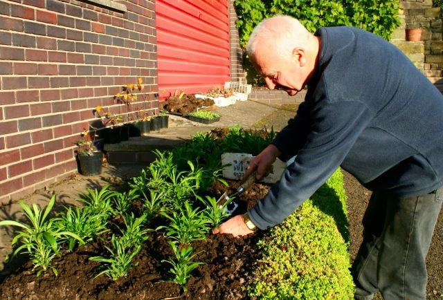 Rastliny potrebujú neustálu starostlivosť man-of-the-plants-tending-garden