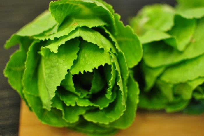 Šalát v záhrade tipy na zber zdravej zeleniny