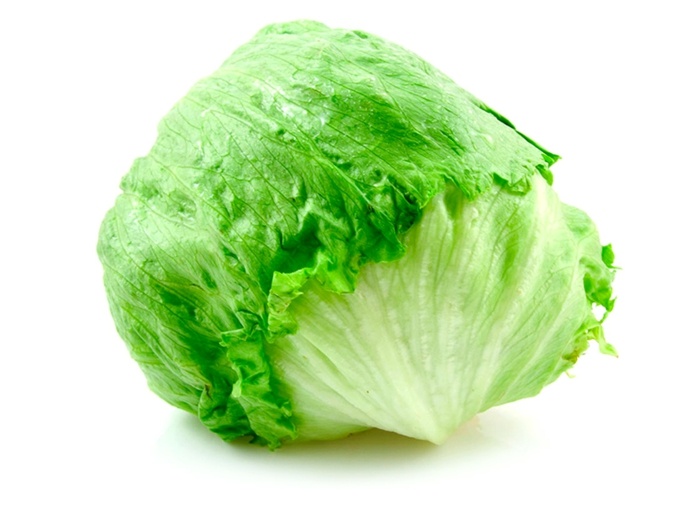 ľadový šalát v záhrade jarná zeleninová výsadba