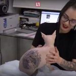 Mačka sa zatvorskim tetovažama iz Jekaterinburga - fotografija 7