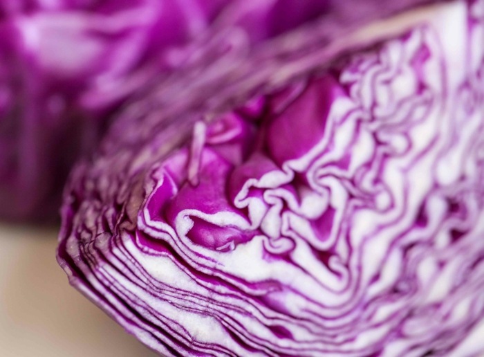 šalát z červenej kapusty, varenie záhradných rastlín, tipy